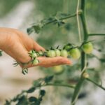 organic agricultural supplies