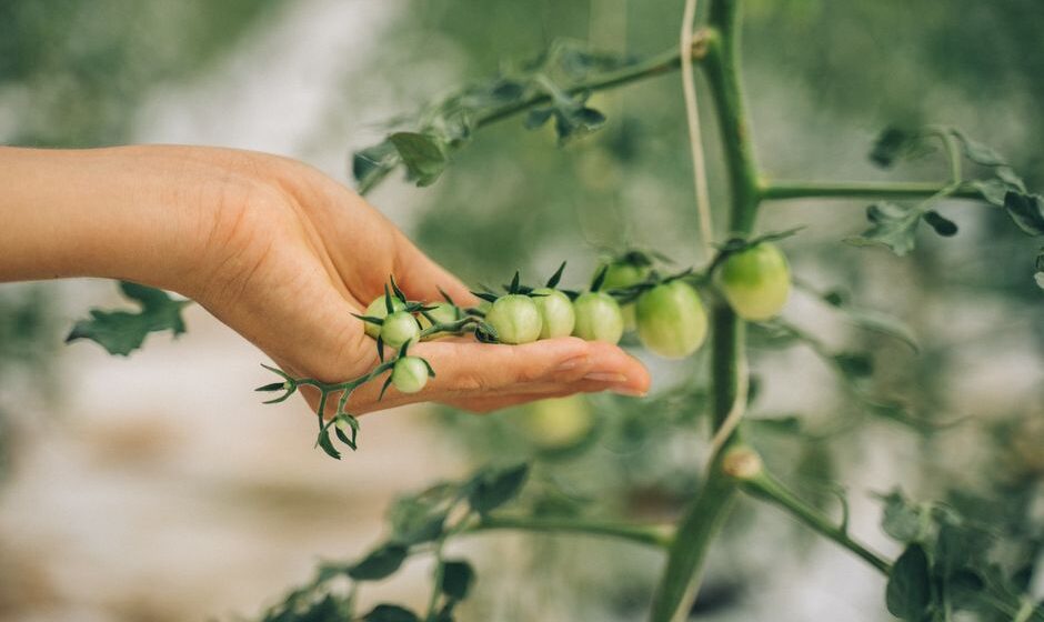 organic agricultural supplies