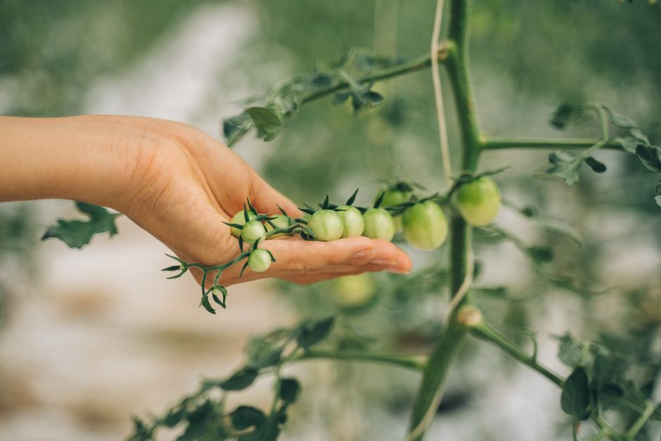 organic agricultural supplies