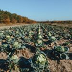 organic farming supplies