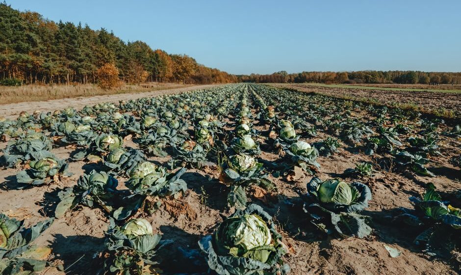 organic farming supplies