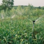 irrigation system