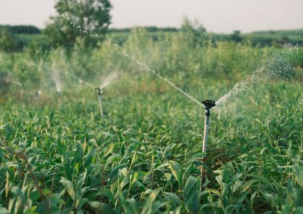 irrigation system
