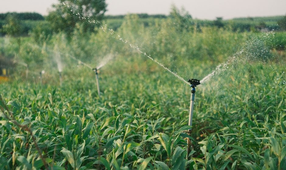 irrigation system