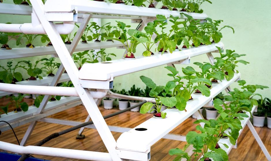 aquaponics kit