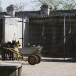 pet boarding facility