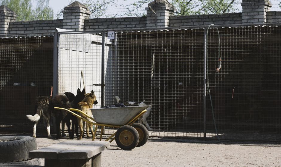 pet boarding facility