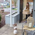 raw dog food delivery