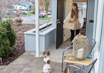 raw dog food delivery