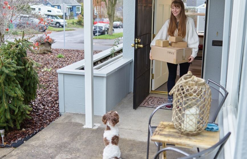 raw dog food delivery