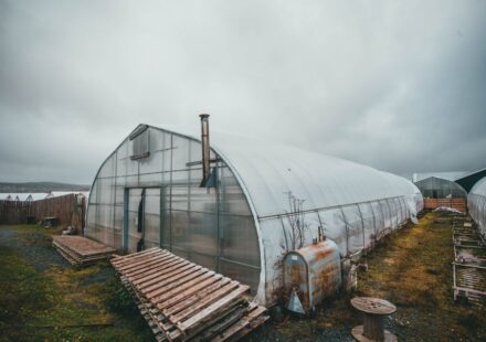 greenhouse equipment