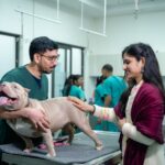 clínica veterinaria reserva
