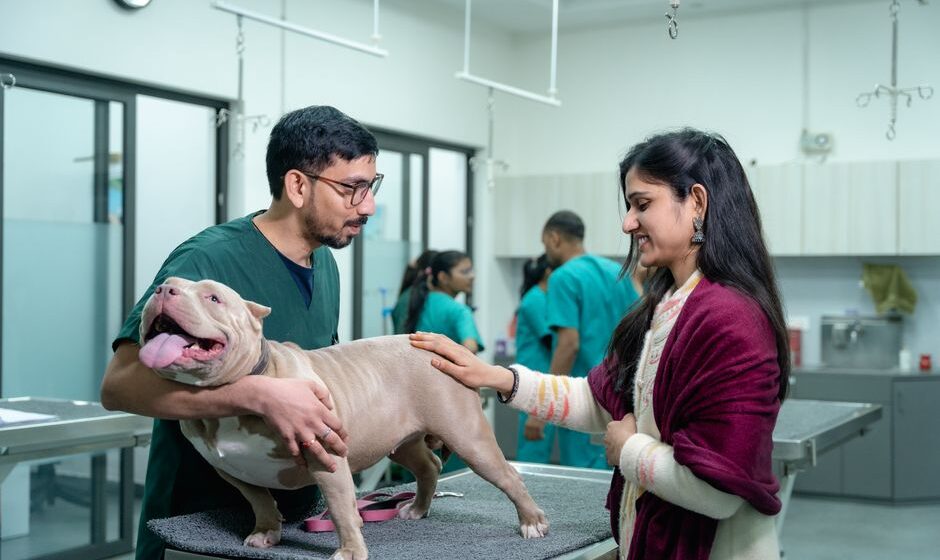 clínica veterinaria reserva