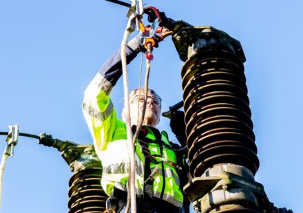 electricity provider comparison