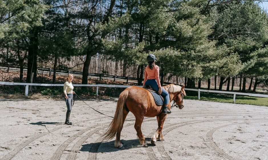 horse riding lessons